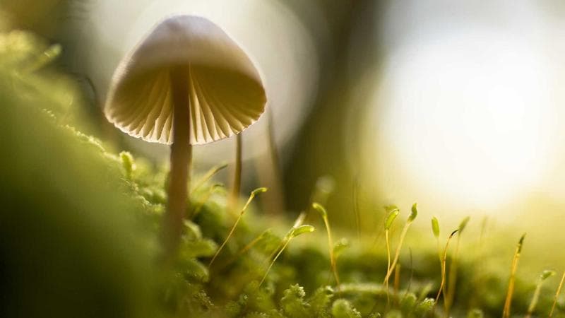 Örnek röportaj başlığı 2, biraz daha uzun bir deneme